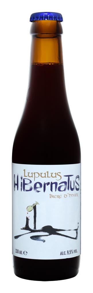 LUPULUS HIBERNATUS